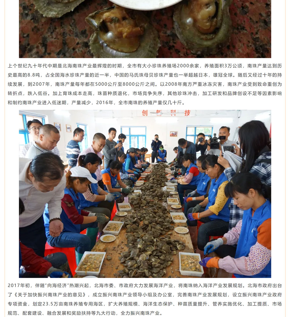 古老南珠，綻放異彩