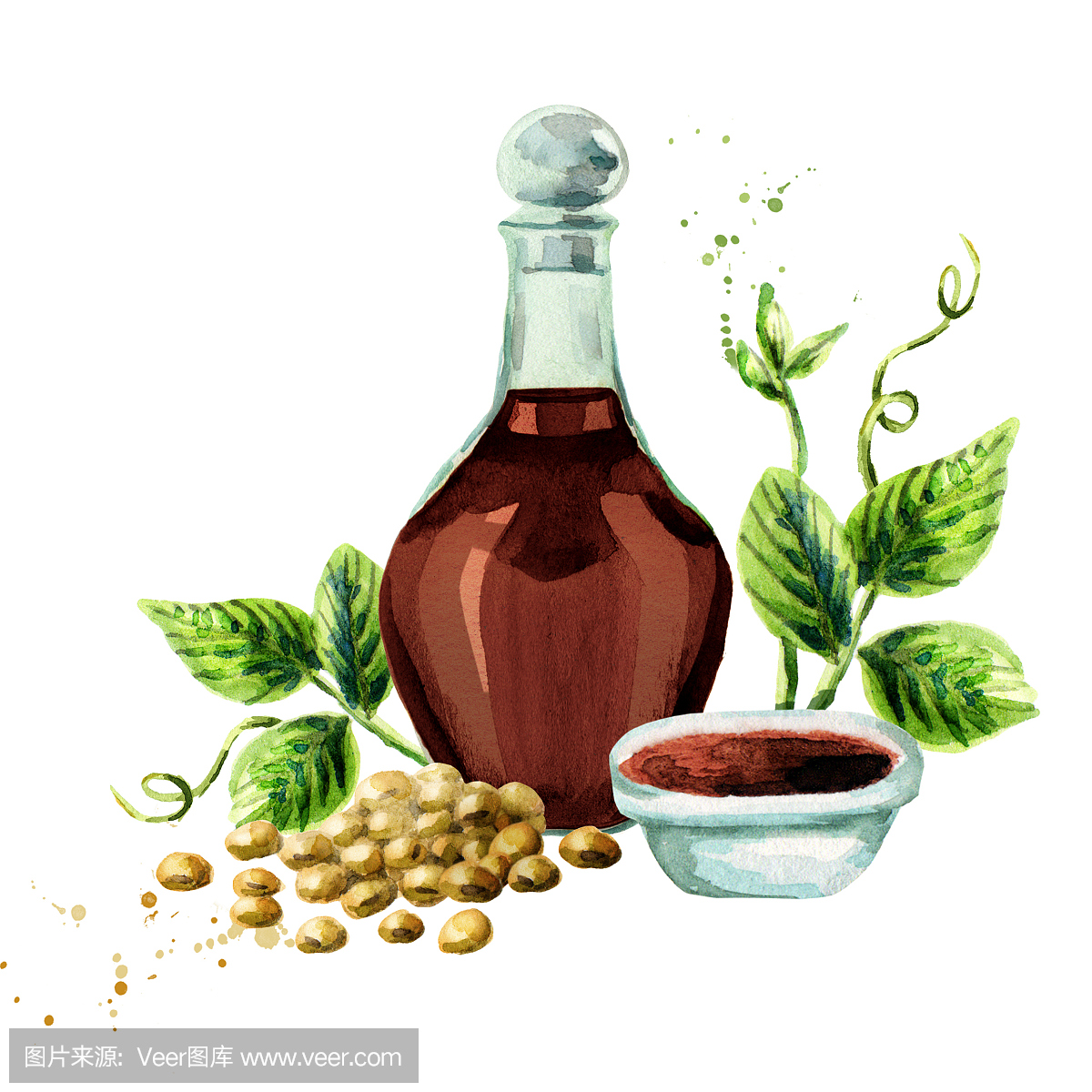 酱油由瓶,碟,豆类和植物组成。水彩手绘插图。